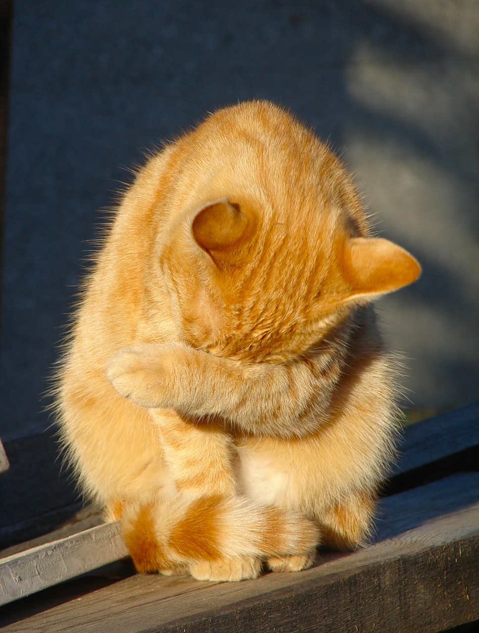 в