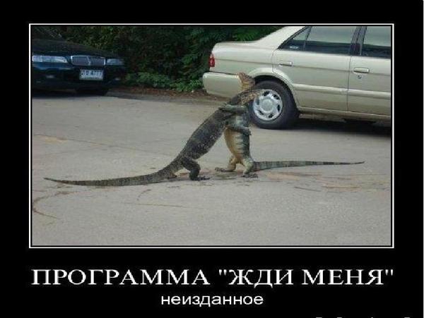 Опубликованное фото