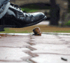 0_1822b_83946c2f_L.gif