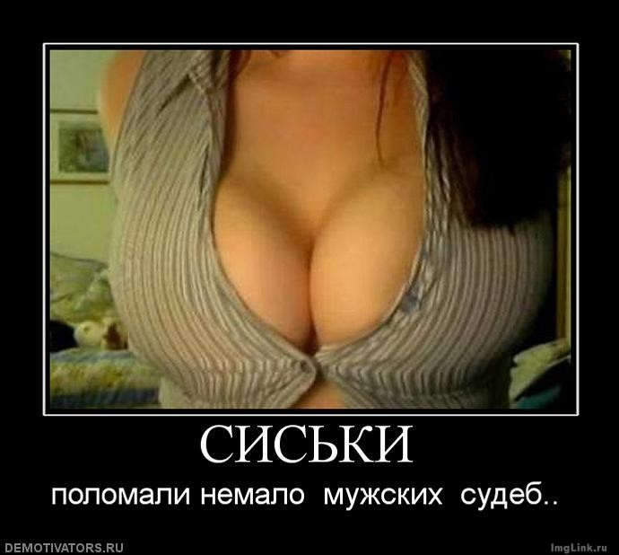 0d91daa848aad35b14a4085afeb0a1c1.jpg