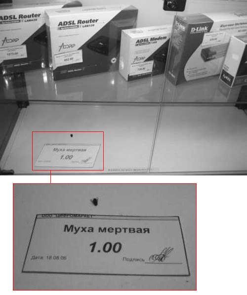 1201880391_7.jpg