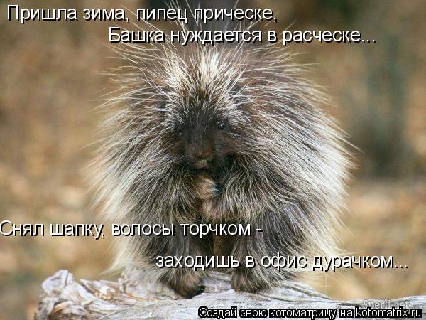 1227301337bl.jpg