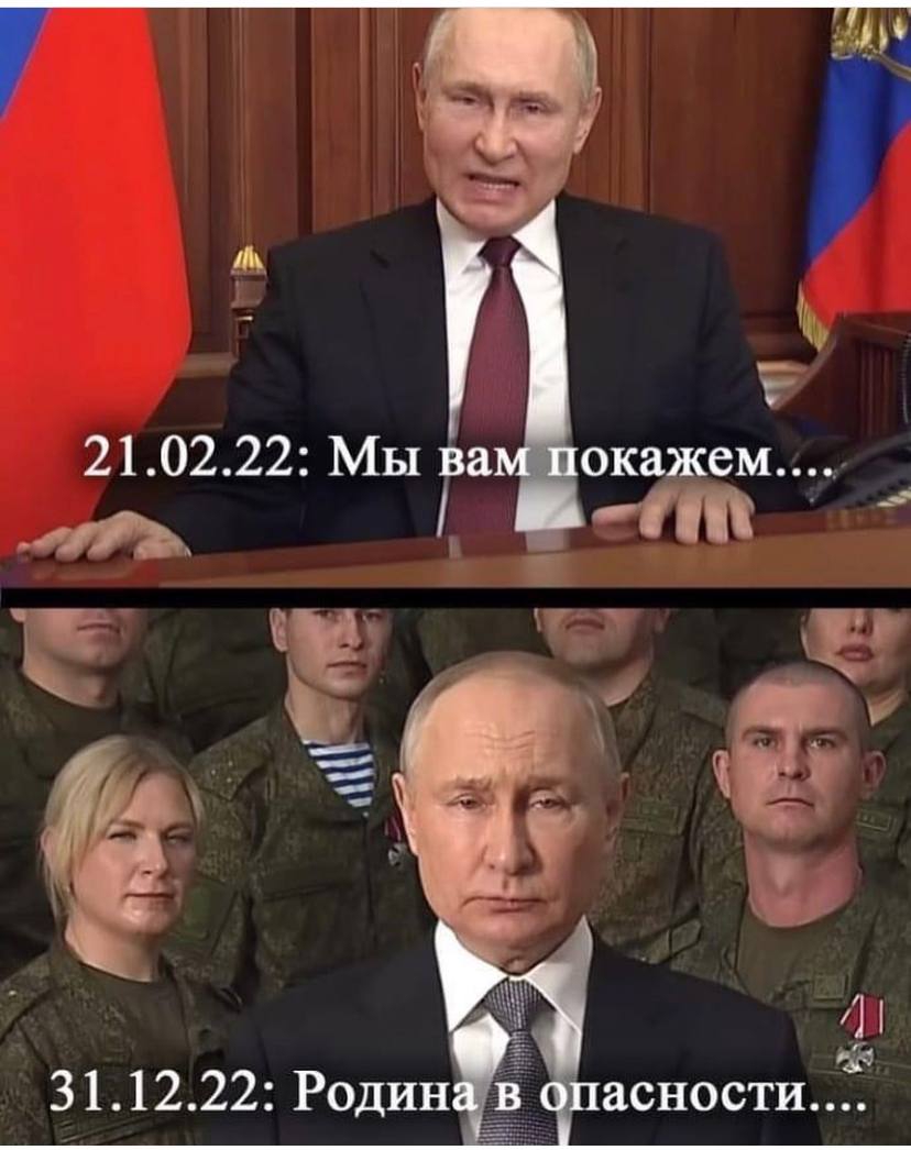 12367675.jpg