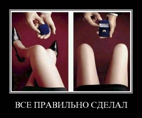 1244650208_1244537755_60yzpg05ekc5.jpg