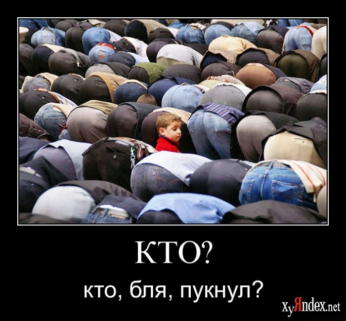 1245903474_m8aeddfqlwci.jpg