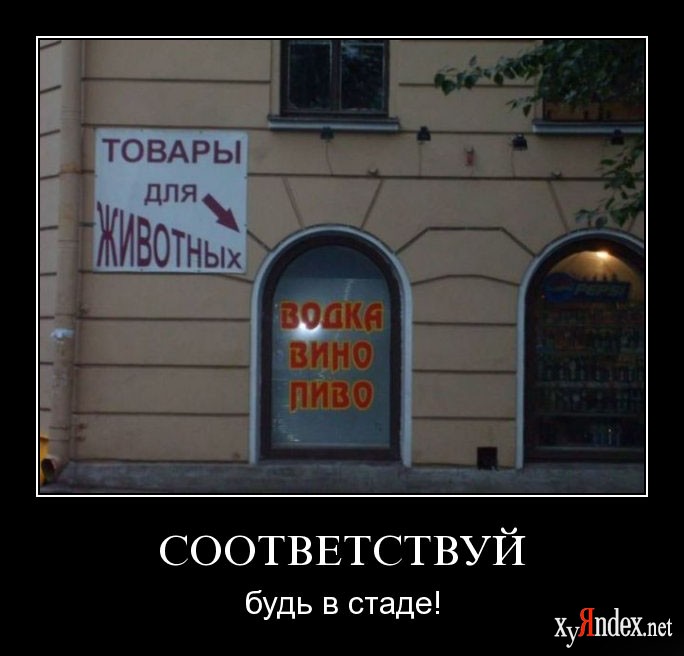 1247809433_hfclaq33nnow.jpg