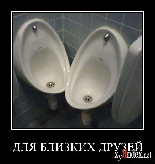 1247809440_qk5po9bw0stc.jpg