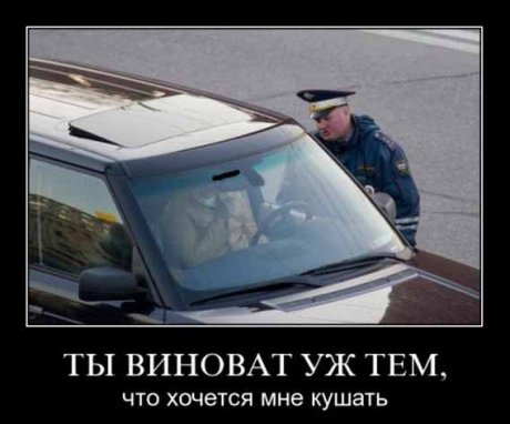 1247840318_1247733211_1246523373_xprtmkj71wzm.jpg