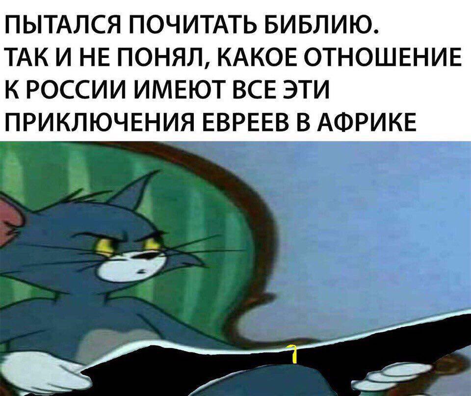 1266261.jpg