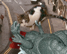 12726662_24331629_CAT_vs_GADZILLA.gif