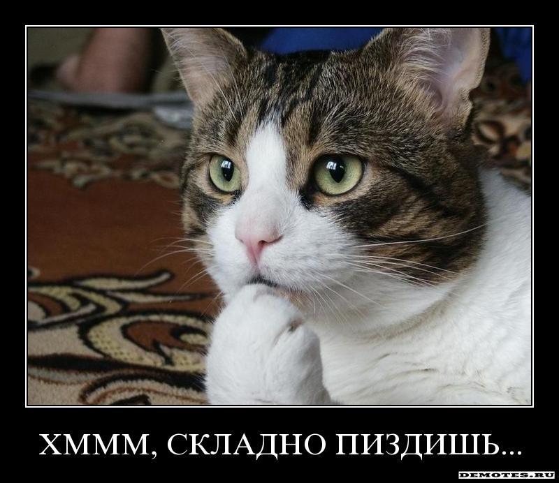 1283839139_i1spilxq6oyp.jpg