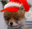 .png