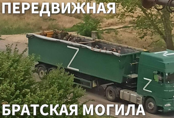 13778803.png