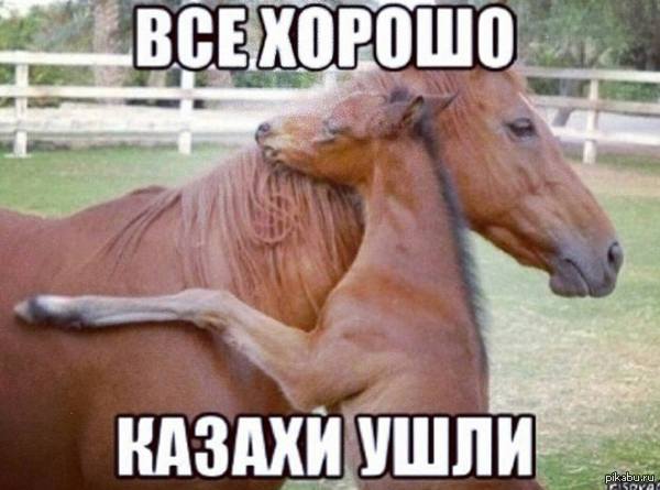 1408291394_162964106.jpg