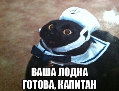 14295112035875.jpg