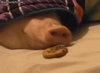 1455260089158235934.gif
