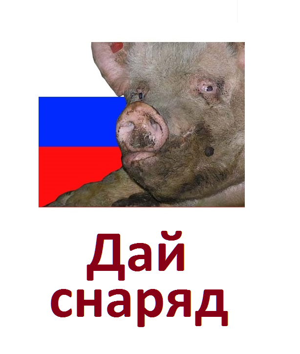167790.png