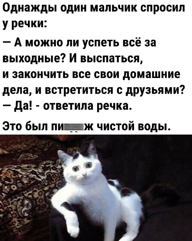 1681582434.jpg