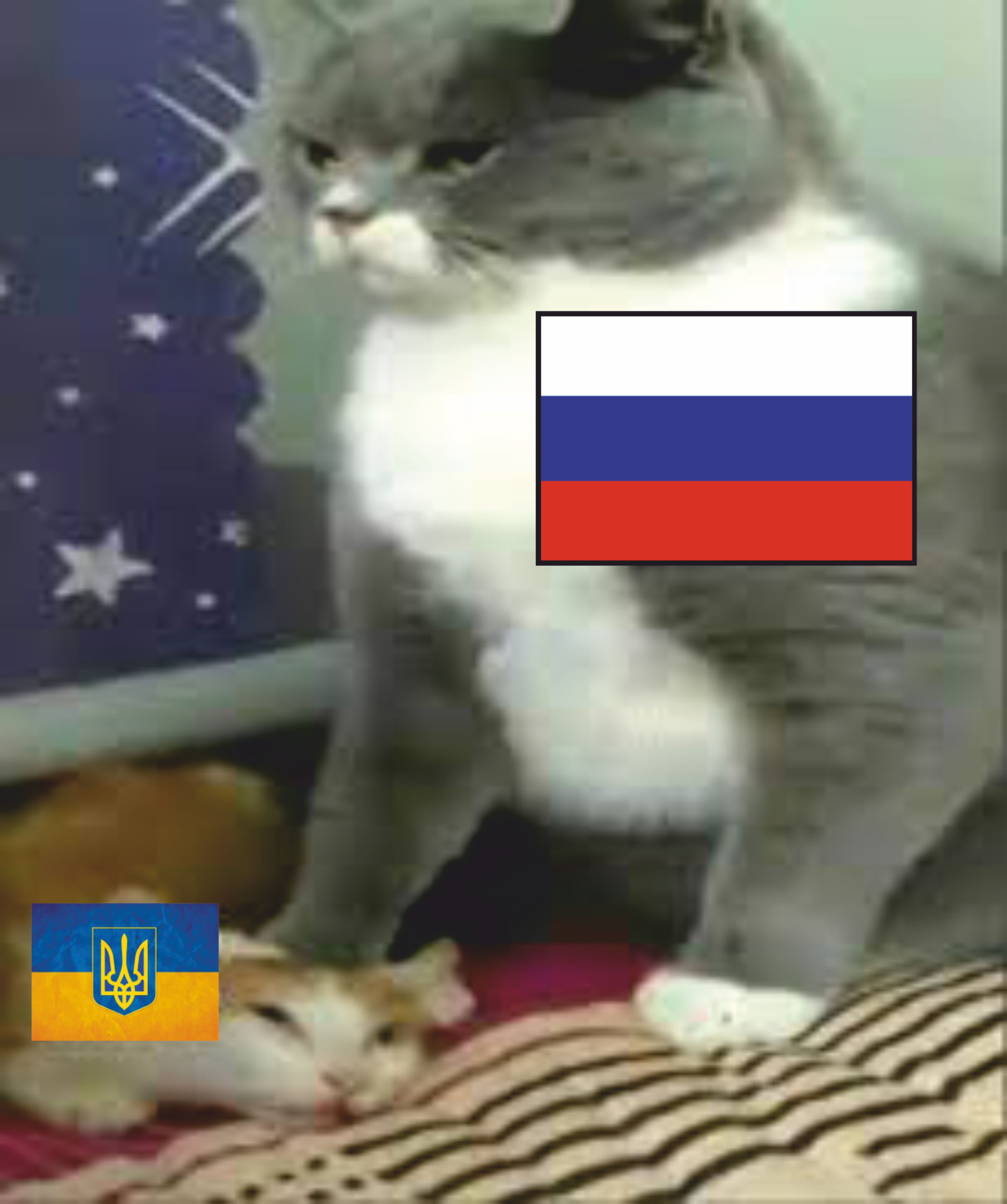 16862684309050.jpg