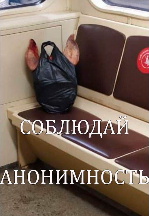 16862861924630.png
