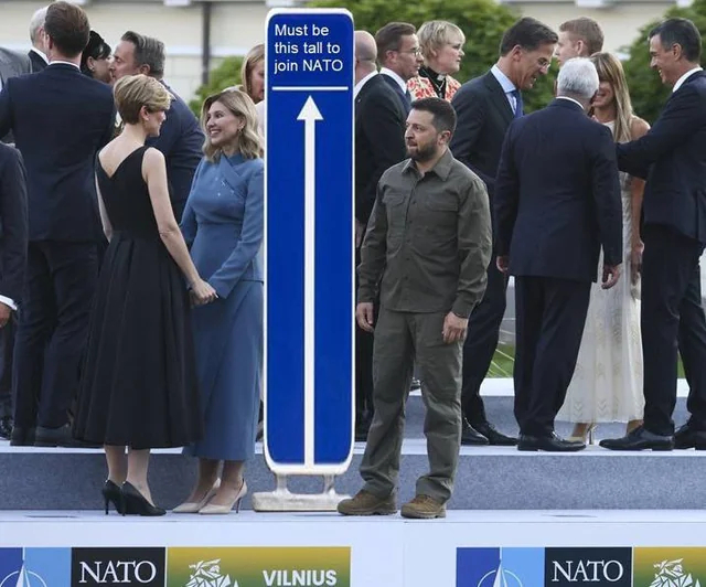 1689230130183752930.jpg