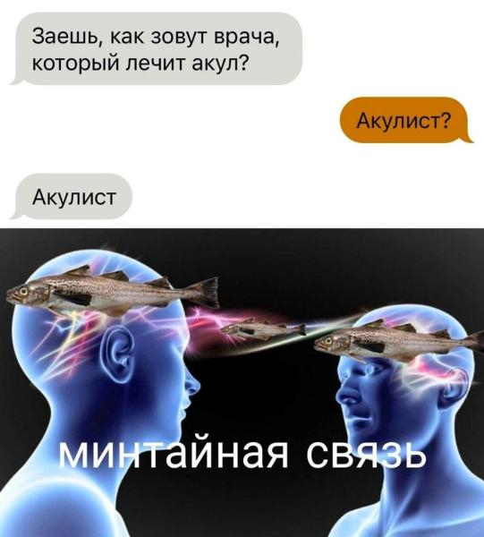1690468871126768666.jpg
