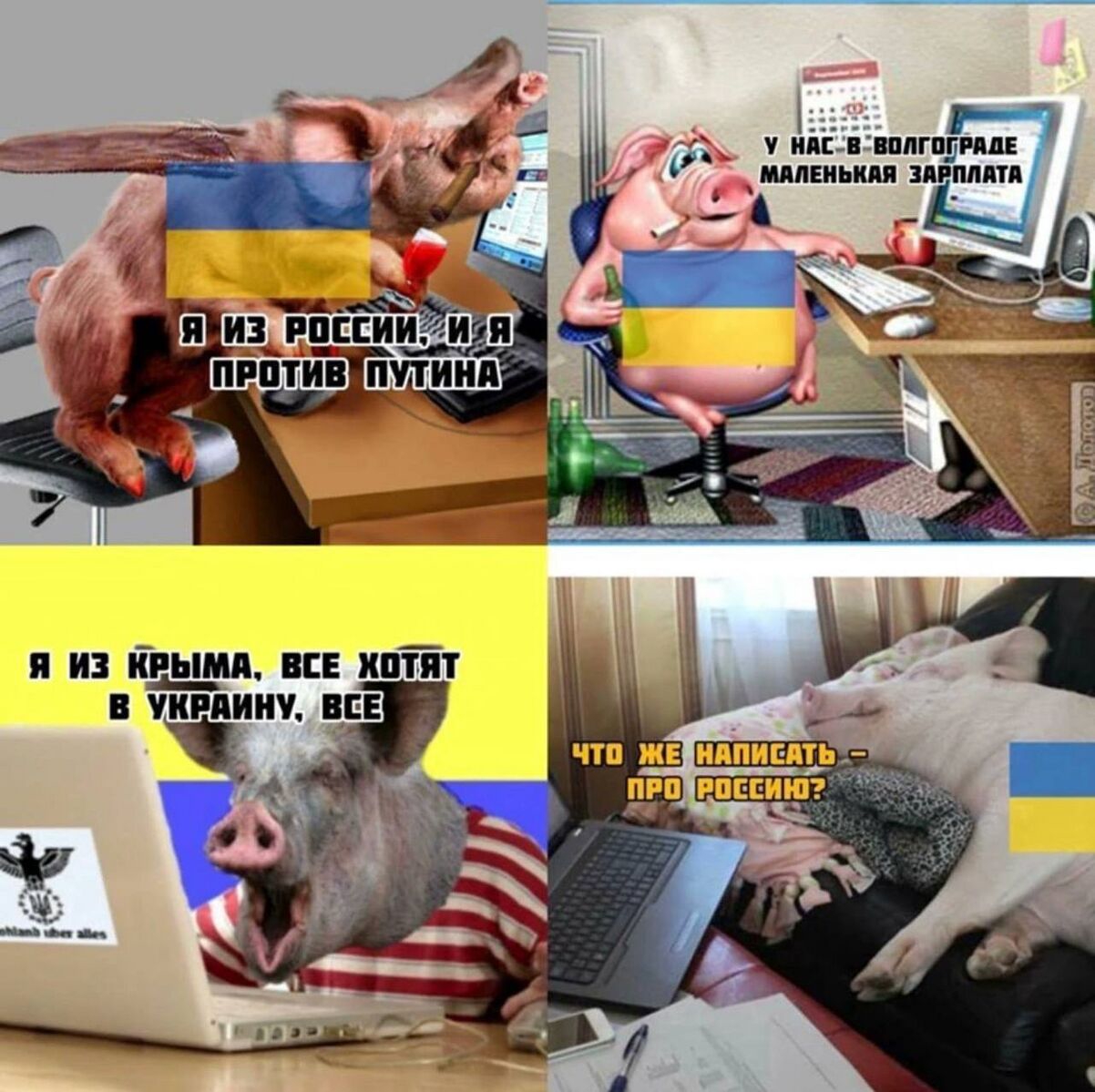 16907709734100.jpg