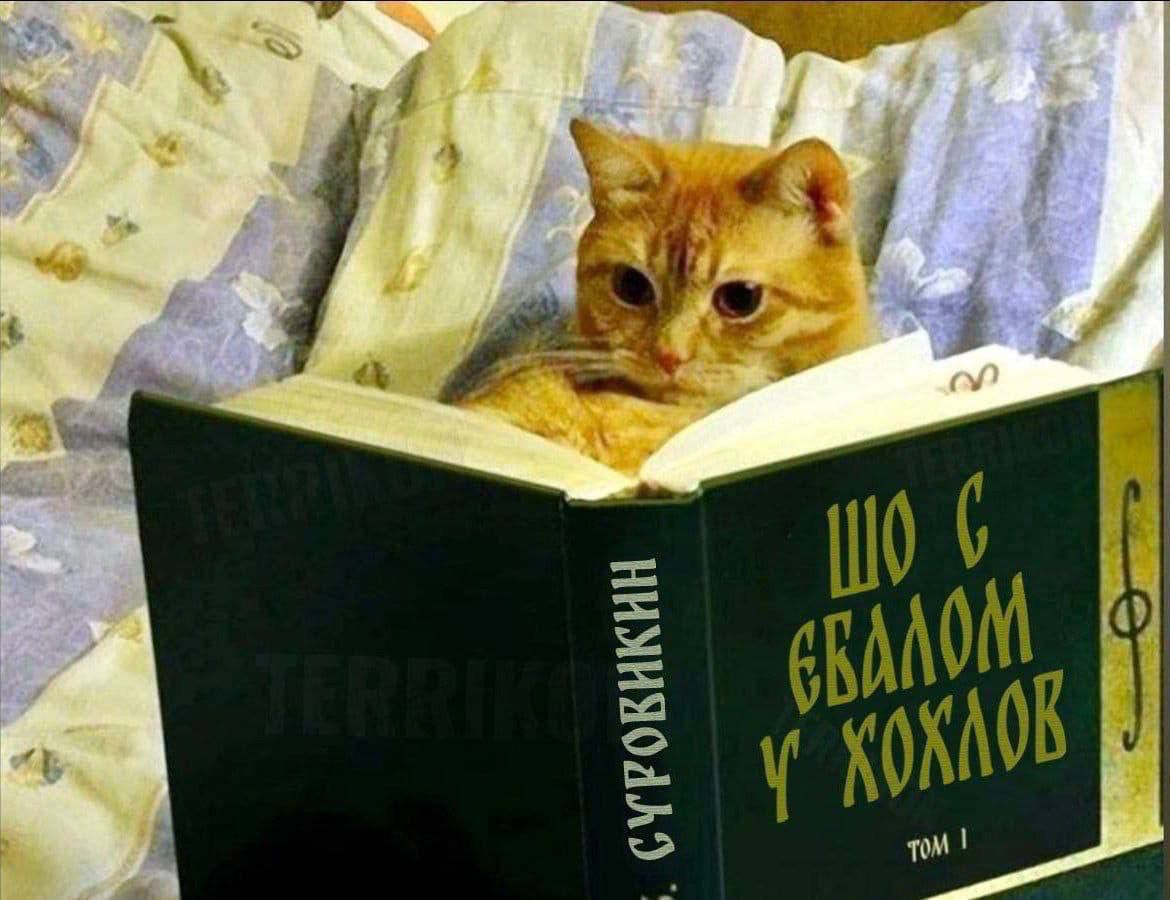 16908114225910.jpg