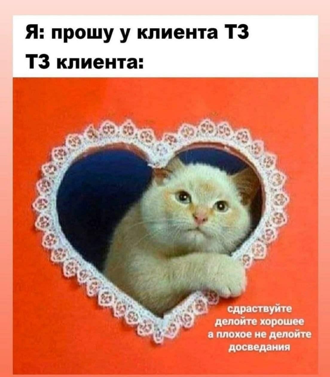 16922258125620.jpg