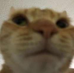16946260509160s.jpg