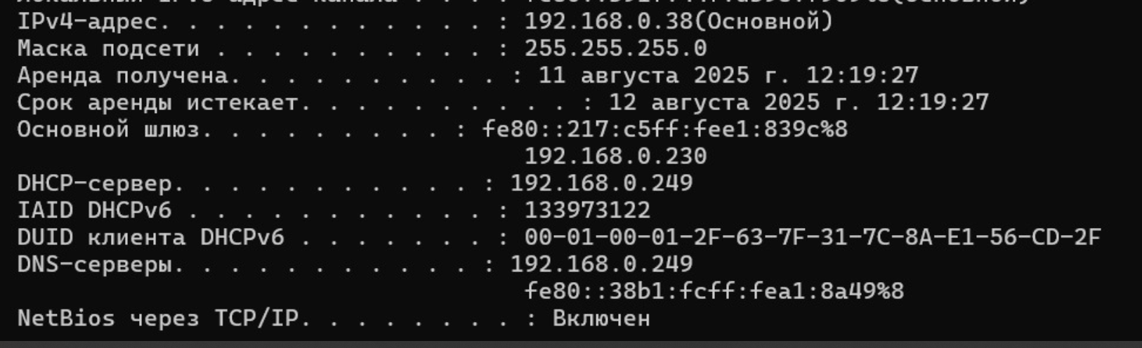 ipconfig all .PNG