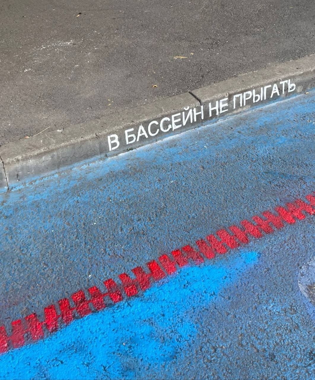 1717493835126597556.jpg