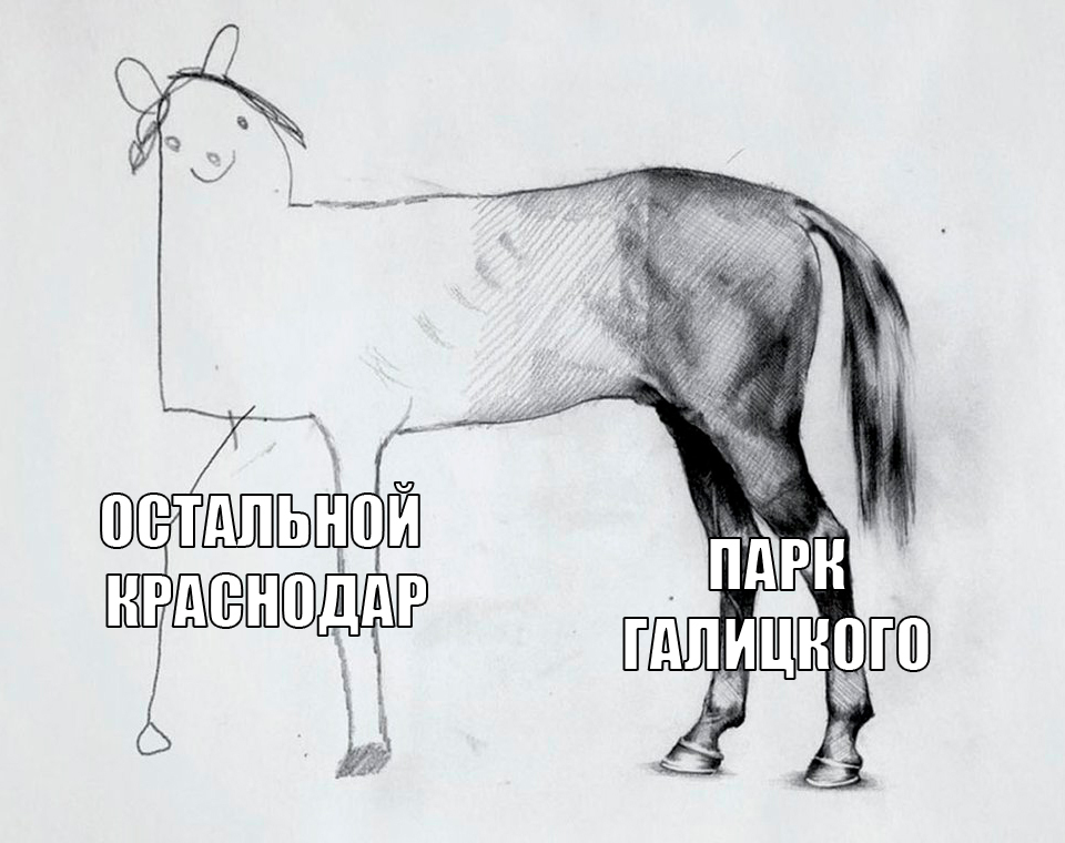 1741722693118696087.jpg
