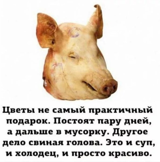17637320.jpg