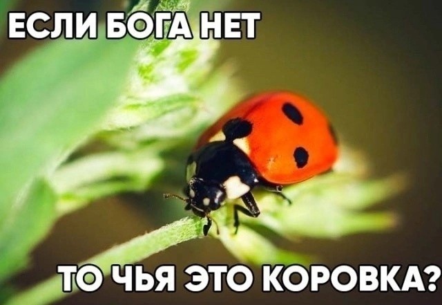 18272824.jpg