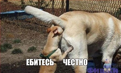 18a084d7228b2e890791742b0822de2a.jpg