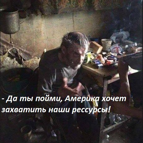19844420.jpg