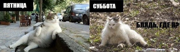 1JsOJtINEvI.jpg