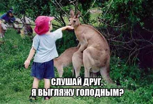 20130425-160416_H1_U9IXfi6k.jpg