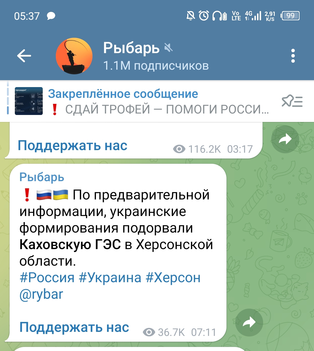 2037702.jpg
