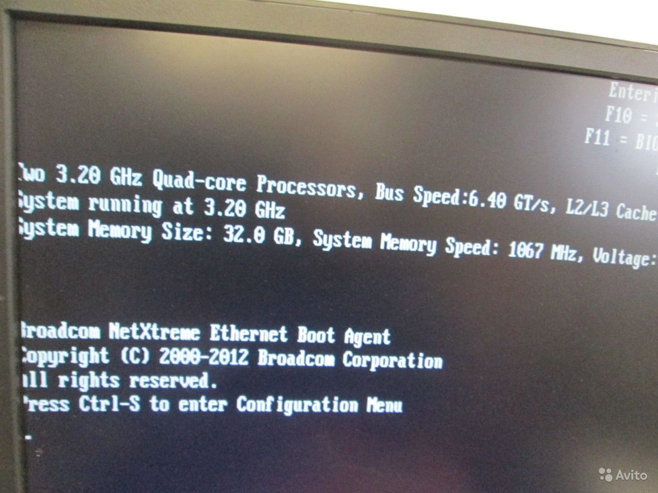 2113199575.jpg