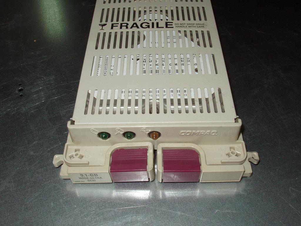 215427_4.jpg