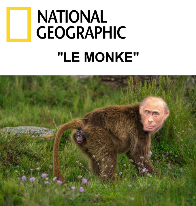 235754.png