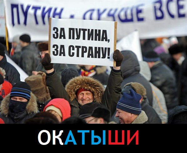 23644364.png
