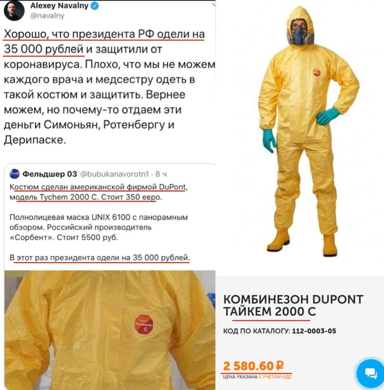 23677346.jpg
