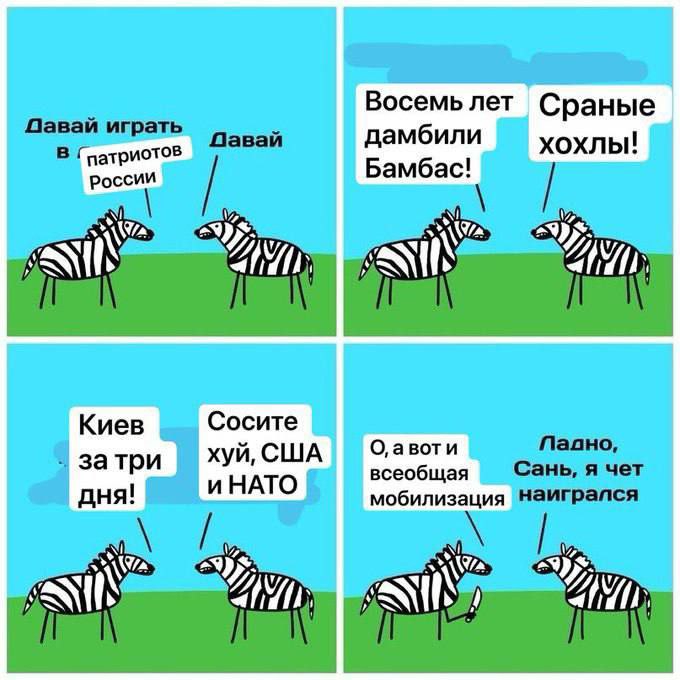 237511.jpg