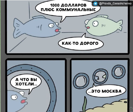 237701.png