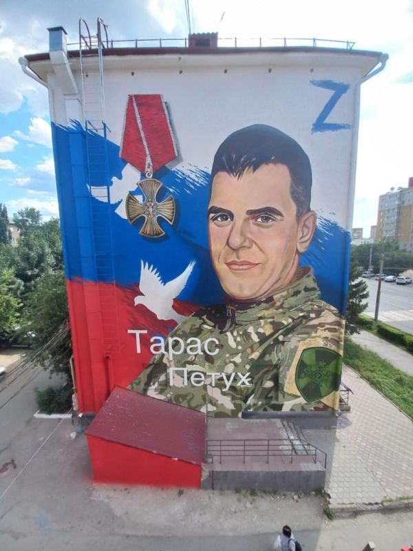2377513.jpg