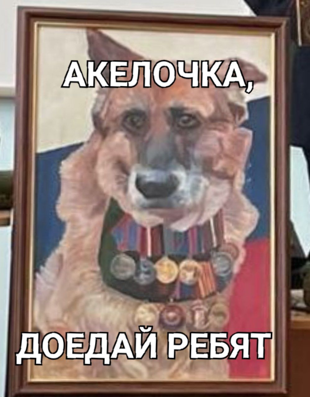 237878.jpg