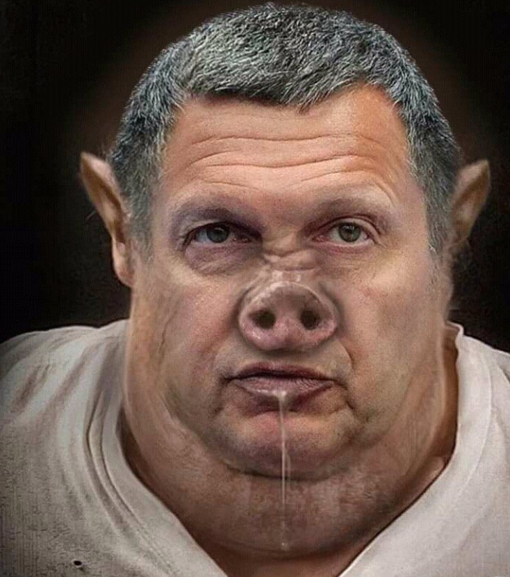 23788026.jpg
